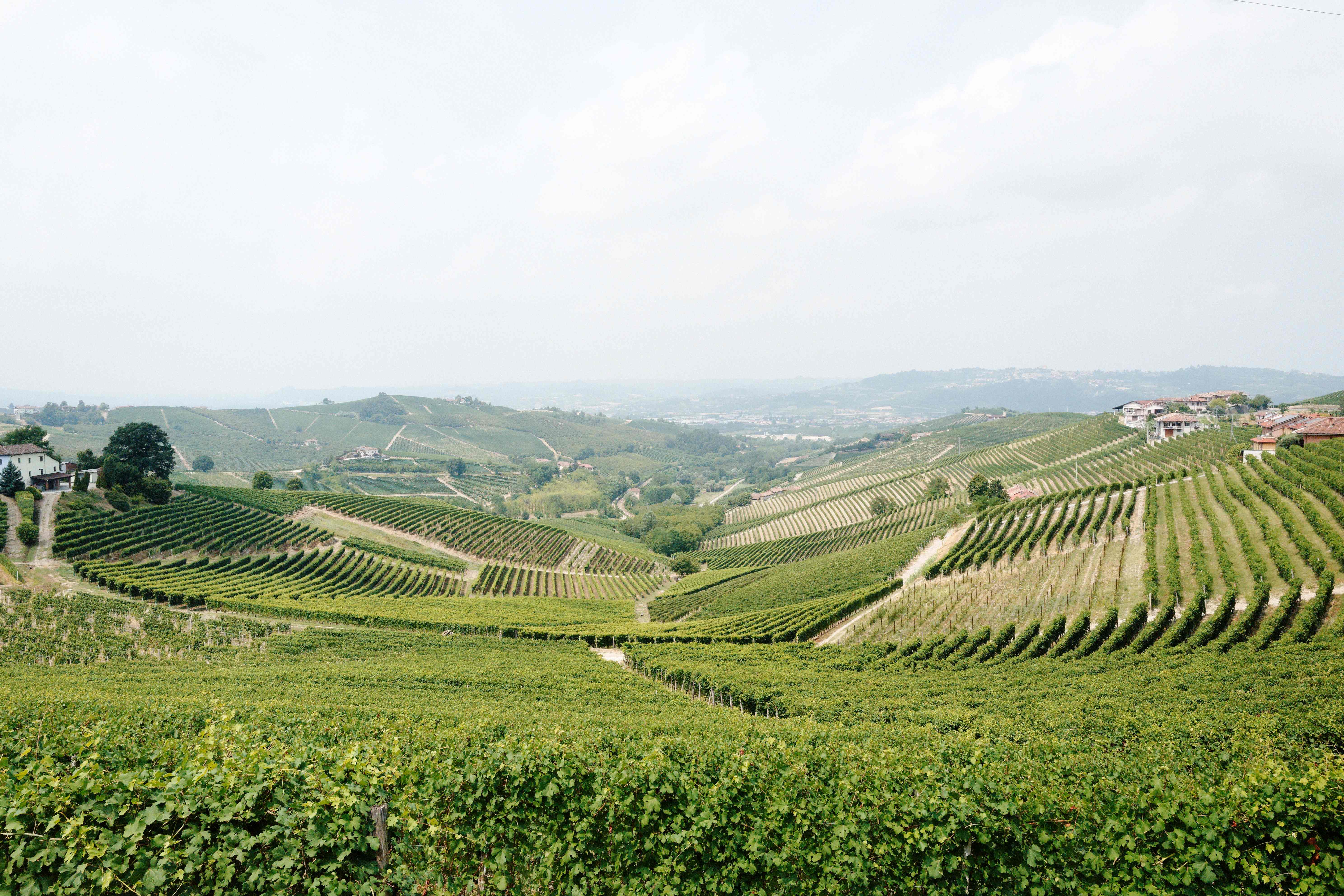 Vinmarkerne i Langhe, Piemonte